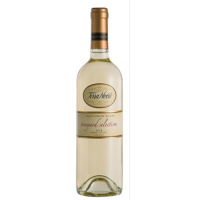 Terra Noble – Sauvignon Blanc Vineyard