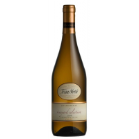 Terra Noble – Chardonnay Vineyard